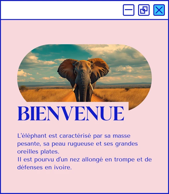 Étape 3 : finalisation ou développement