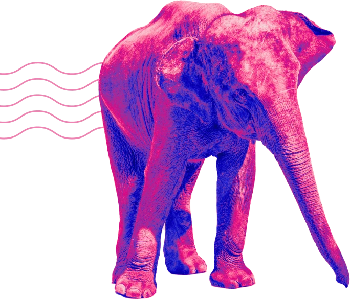 Illustration vague éléphant