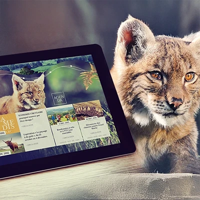 Création de la long page du Parc Naturel des Vosges