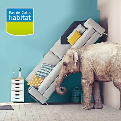 Webdesign du site de gestion des logements en Pas-de-Calais