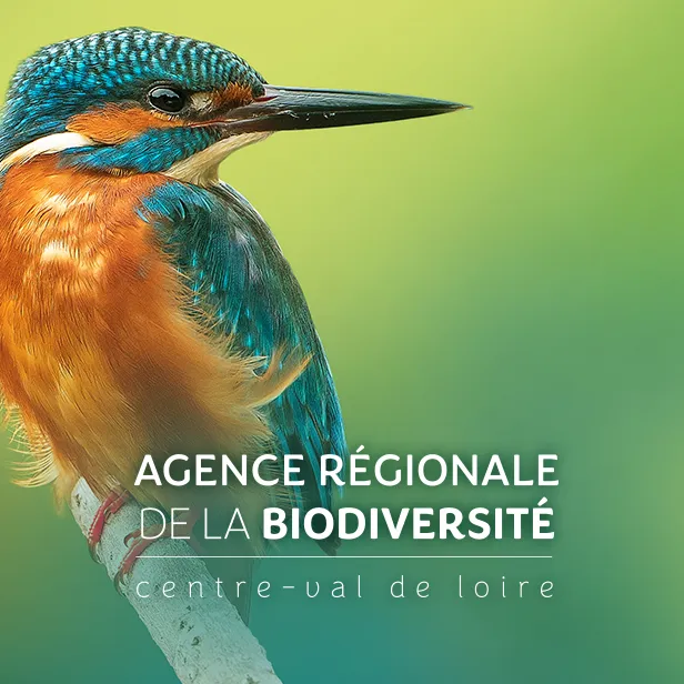 Design du site ARB, Centre de Biodiversité