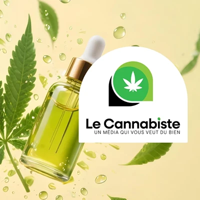 Design UI d'interface Le Cannabiste