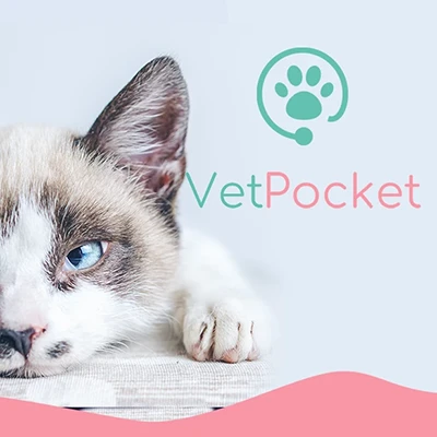 Création d'un site Wordpress pour Vetpocket