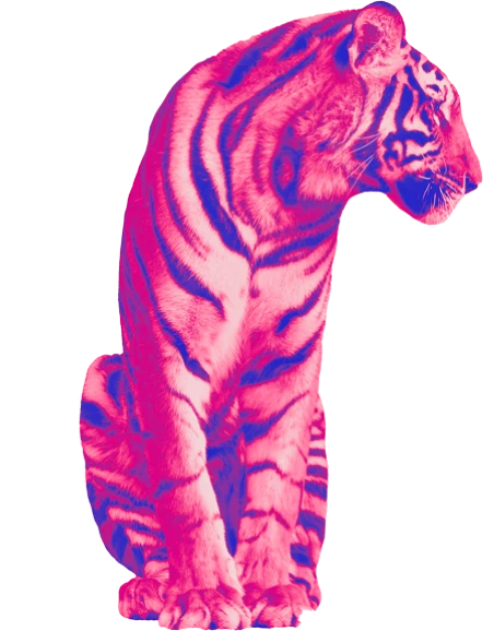 Illustration vague tigre