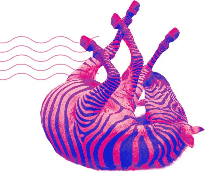 Illustration vague zèbre